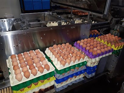 O K Egg Farm