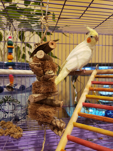 Pet Store «Super Pets», reviews and photos, 1807 E Chapman Ave, Orange, CA 92867, USA