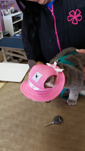 Pet Groomer «Furry Tails Pet Grooming», reviews and photos, 865 Cypress Pkwy, Poinciana, FL 34759, USA