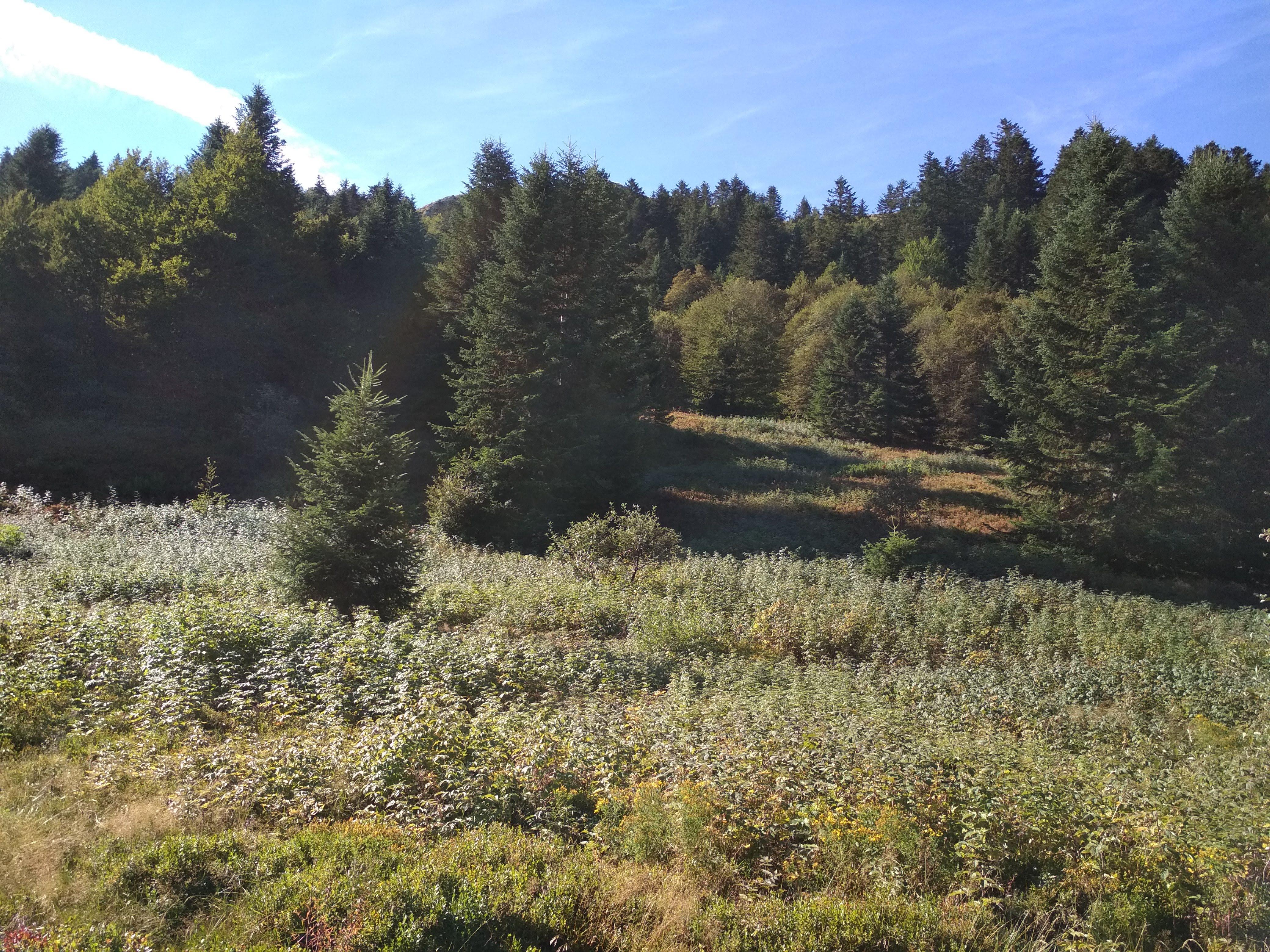 Photo n° 2 de l'avis de Antonio. fait le 08/09/2018 à 18:06
