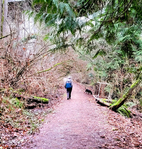 Park «Cowen Park», reviews and photos, 5849 15th Ave NE, Seattle, WA 98105, USA