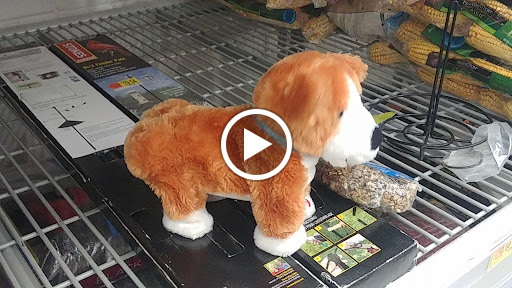 Department Store «Walmart Supercenter», reviews and photos, 9300 NW 77th Ave, Hialeah Gardens, FL 33016, USA