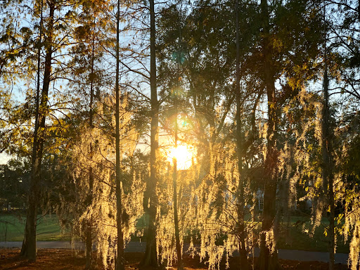 Country Club «Palma Ceia Golf & Country Club», reviews and photos, 1601 S MacDill Ave, Tampa, FL 33629, USA