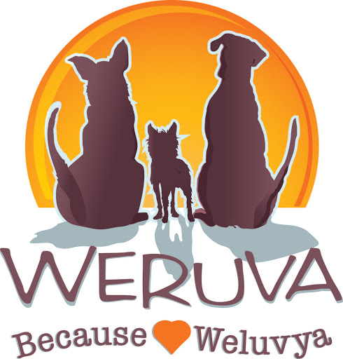 Pet Supply Store «Wags & Whiskers - West Nashville», reviews and photos, 3731 Charlotte Ave, Nashville, TN 37209, USA