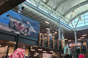 DICK'S Sporting Goods image