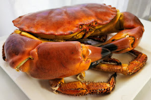 Photo n°3 de La rose des vents à Cléder ()