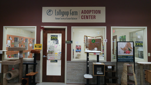 Pet Store «PetSaver Healthy Pet Superstore (Brighton Location)», reviews and photos, 2947 Monroe Ave, Rochester, NY 14618, USA