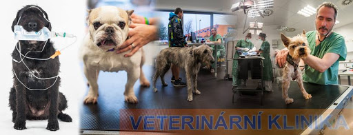 Veterinární klinika Praha