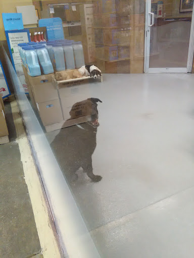 Pet Supply Store «PetSmart», reviews and photos, 9041 Snowden Square Dr, Columbia, MD 21045, USA