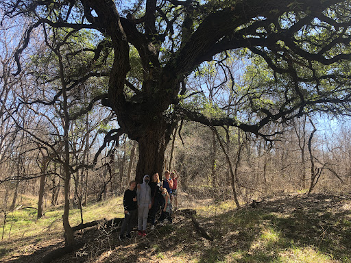 National Park «Waco Mammoth National Monument», reviews and photos, 6220 Steinbeck Bend Dr, Waco, TX 76708, USA