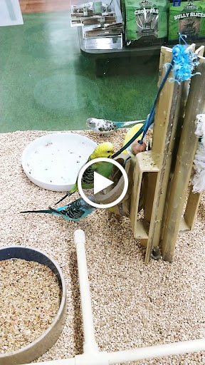 Pet Supply Store «Pet Supermarket», reviews and photos, 3806 S Dale Mabry Hwy, Tampa, FL 33629, USA