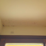 Photo n°3 de l'avis de Beatrice.. fait le 14/05/2019 à 22:35 sur le  La Vecchia Fornace à Santa Croce sull'Arno