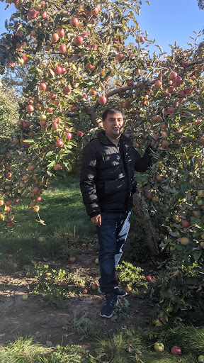 Winery «Apple Barn Orchard & Winery», reviews and photos, W6384 Sugar Creek Rd, Elkhorn, WI 53121, USA