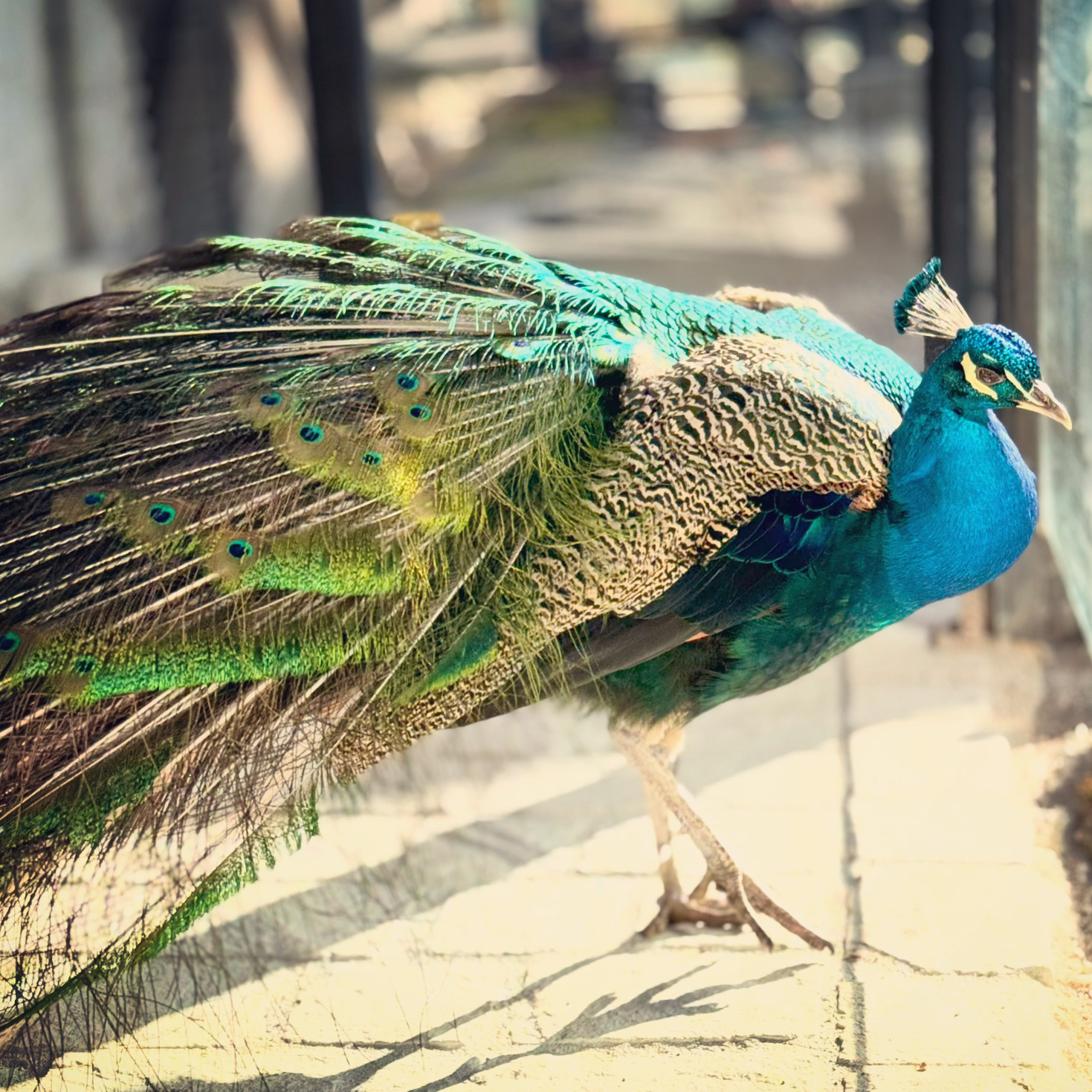 Photo n° 16 de l'avis de Daniel.e fait le 21/02/2024 à 22:23