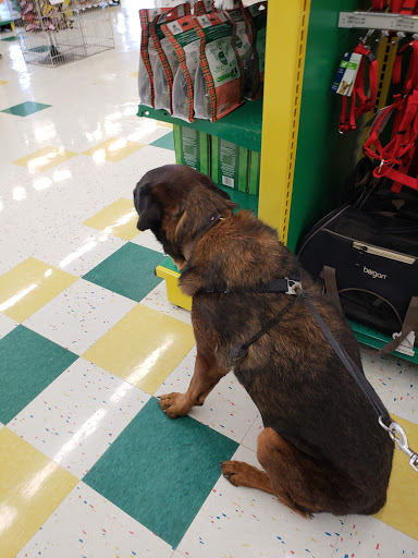 Pet Supply Store «Pet Supplies Plus», reviews and photos, 5092 Mayfield Rd, Lyndhurst, OH 44124, USA
