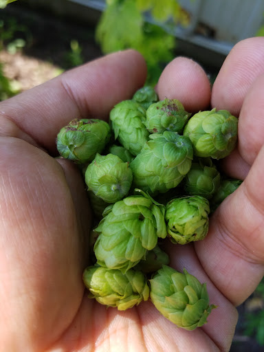 Brewery «Two Roads Brewing Company», reviews and photos, 1700 Stratford Ave, Stratford, CT 06615, USA