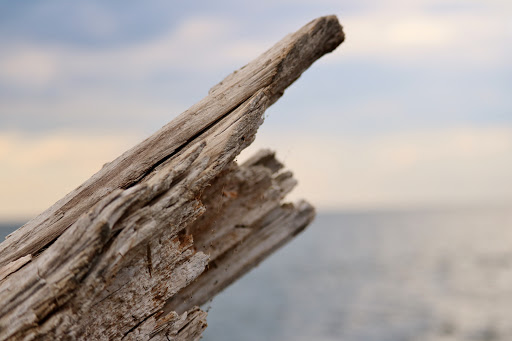 Nature Preserve «Cleveland Lakefront Nature Preserve», reviews and photos, 8701 Lakeshore Blvd, Cleveland, OH 44108, USA