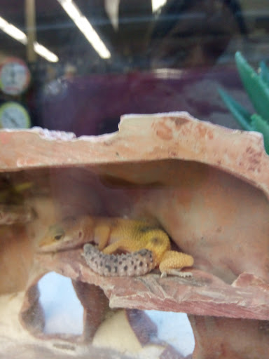 Pet Supply Store «Petco Animal Supplies», reviews and photos, 1704 US Hwy 27 S, Sebring, FL 33870, USA