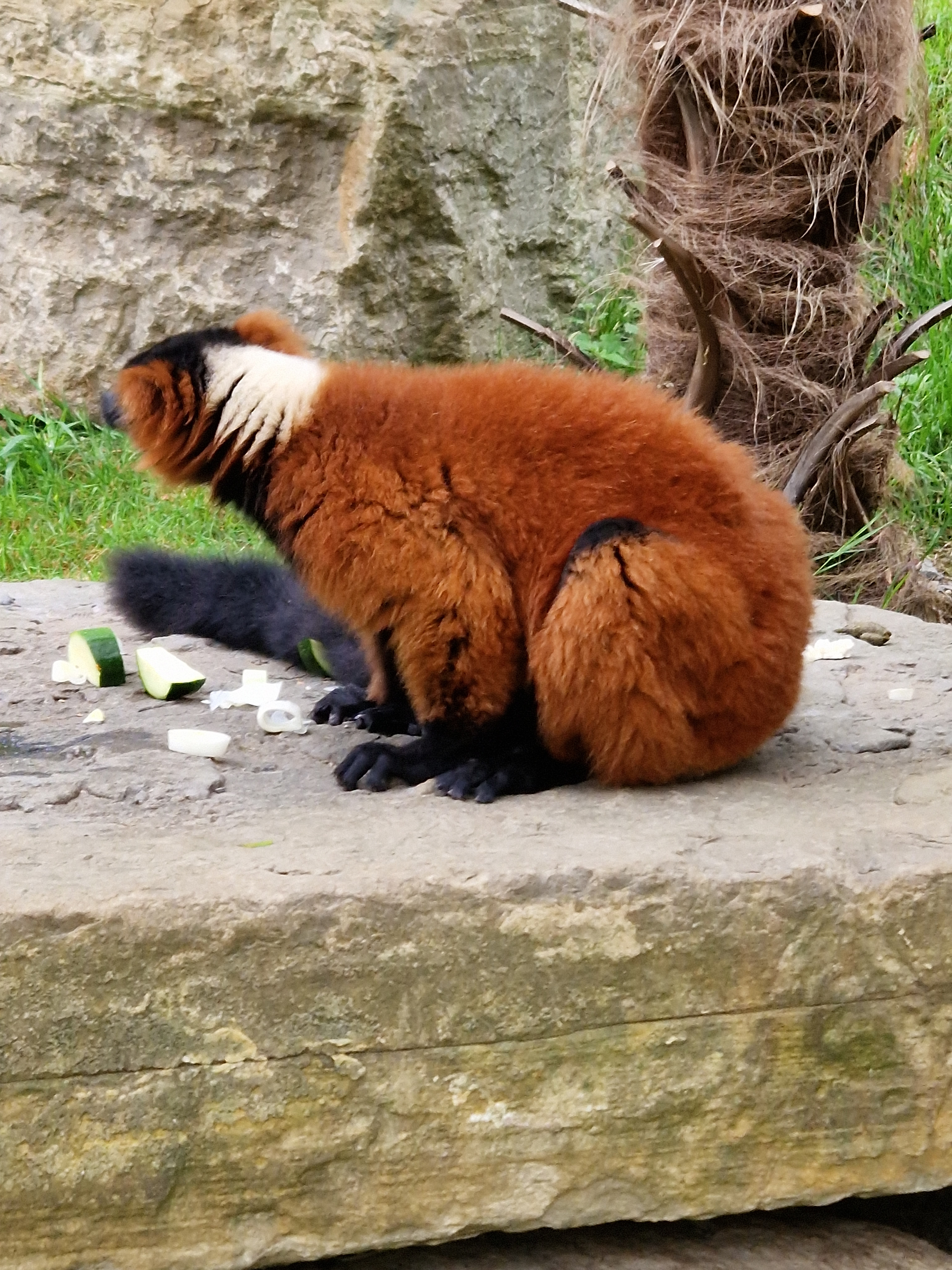 Photo n° 3 de l'avis de Alexandre.a fait le 31/08/2023 à 05:45