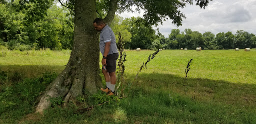 Tourist Attraction «Adventureworks Zipline Forest», reviews and photos, 4129 Whites Creek Pike, Whites Creek, TN 37189, USA