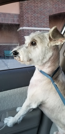 Pet Supply Store «PetSmart», reviews and photos, 1297 Promenade Pl, Eagan, MN 55121, USA