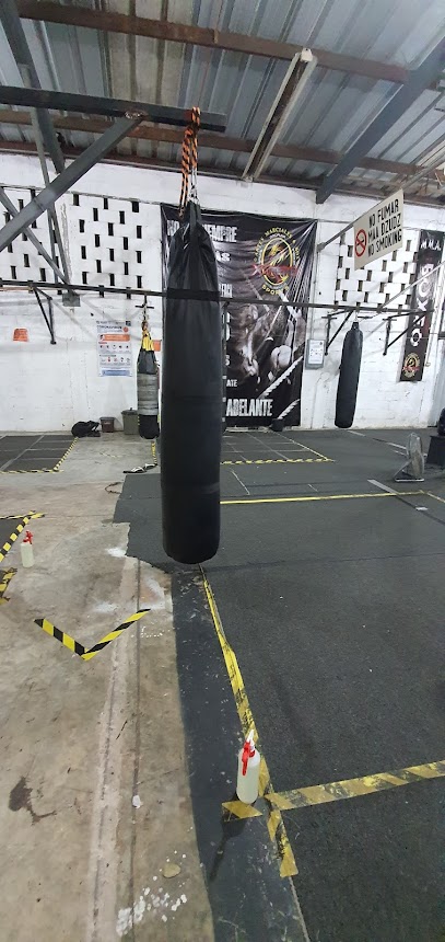 Xtreme sports,artes marciales y boxeo - C. 39 441 E, Máximo Ancona, 97137 Mérida, Yuc., Mexico