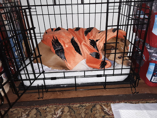 Pet Supply Store «PetSmart», reviews and photos, 595 E Hospitality Ln, San Bernardino, CA 92408, USA