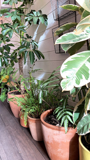 Shopping Mall «Abbot Kinney BLVD Shopping», reviews and photos, Navarre Ct, Venice, CA 90291, USA