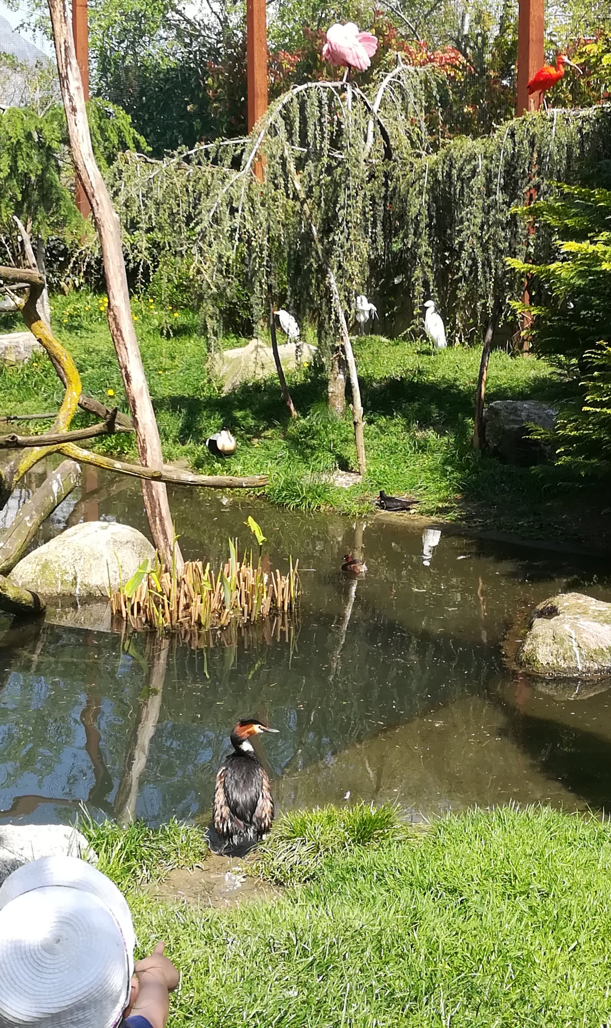 Photo n° 41 de l'avis de Sarah.L fait le 21/04/2018 à 18:44