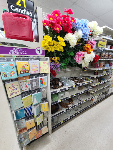 Discount Store «Dollar General», reviews and photos, 5321 GA-20, Covington, GA 30016, USA