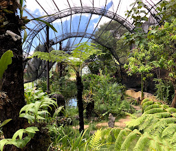 Humedales la Kisst photo