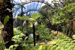 Reserva Ecológica y Jardín de Orquídeas Moxviquil image