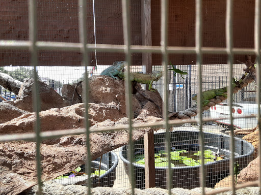 Pet Store «Fish-N-Pets Unlimited», reviews and photos, 11710 Bissonnet St, Houston, TX 77099, USA