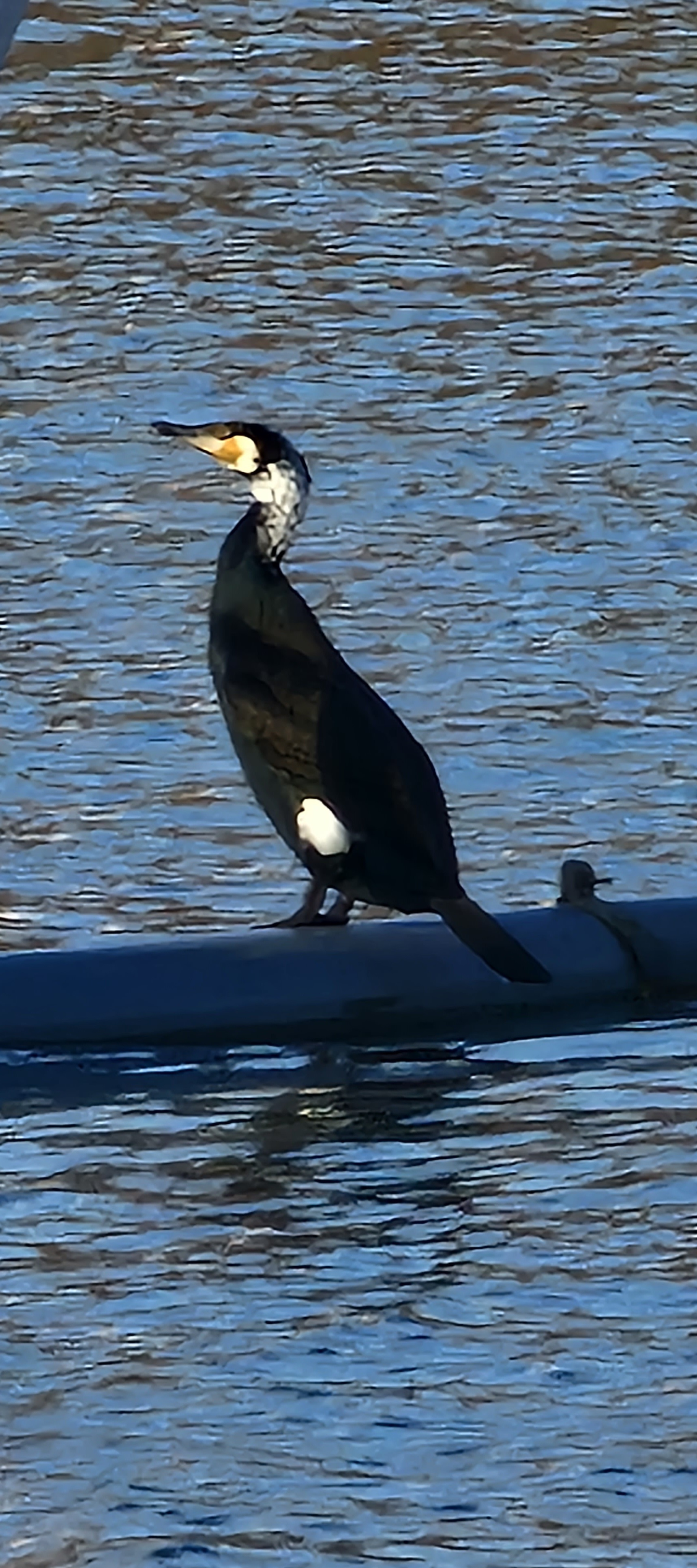 Photo n° 2 de l'avis de Pascal.a fait le 22/02/2023 à 13:47
