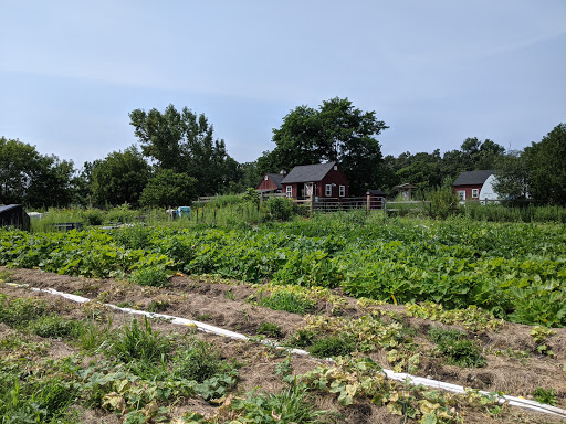 Lexington Community Farm