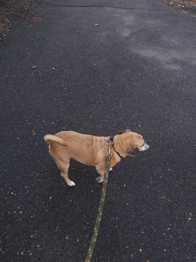 Park «Vailsburg Park», reviews and photos, 694-736 S Orange Ave, Newark, NJ 07106, USA