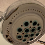 Photo n°1 de l'avis de Lily.r fait le 09/11/2023 à 17:35 sur le  Hotel Alessandra à Florence