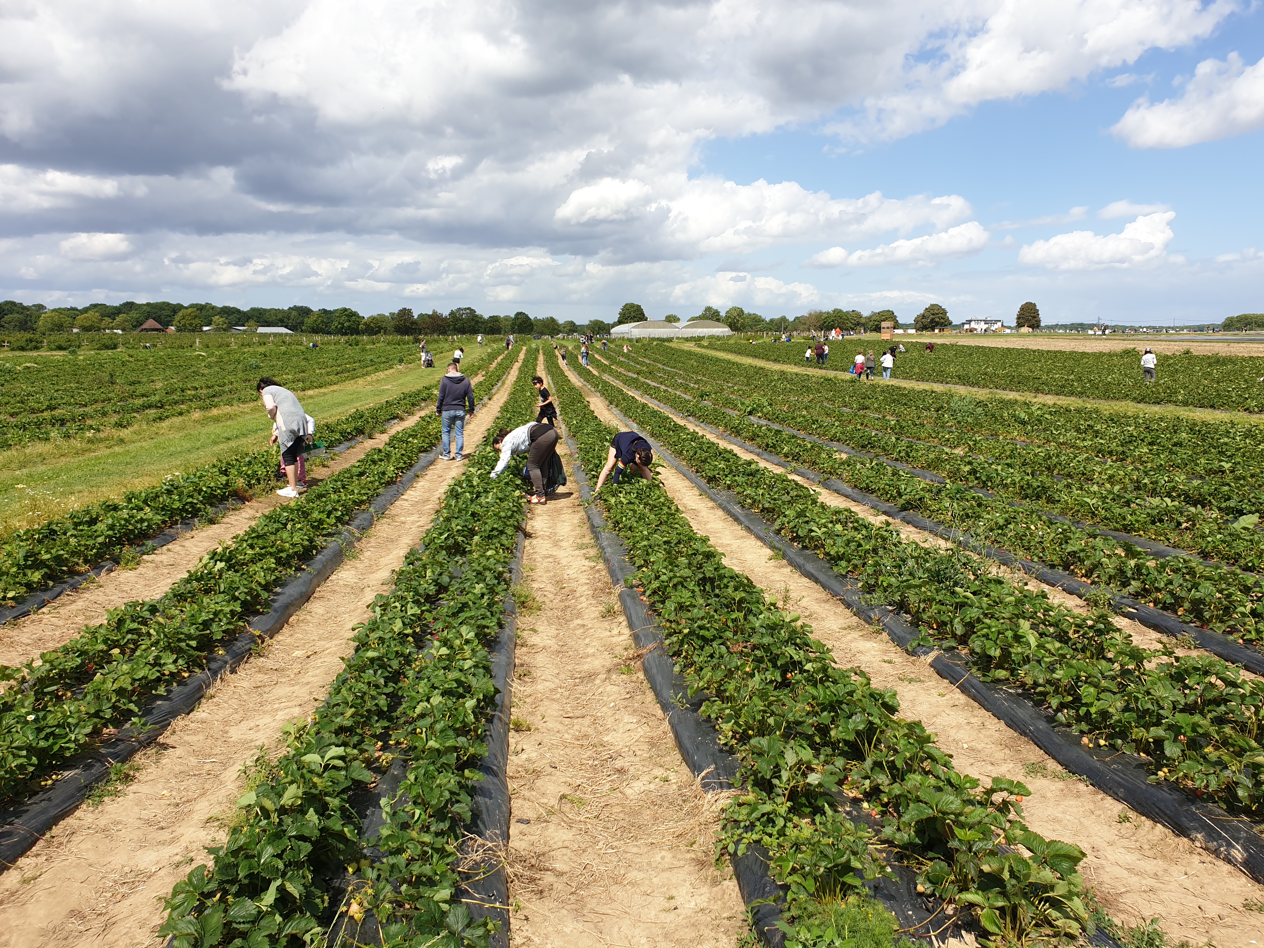 Photo n° 2 de l'avis de Rmy.z fait le 23/05/2020 à 16:25