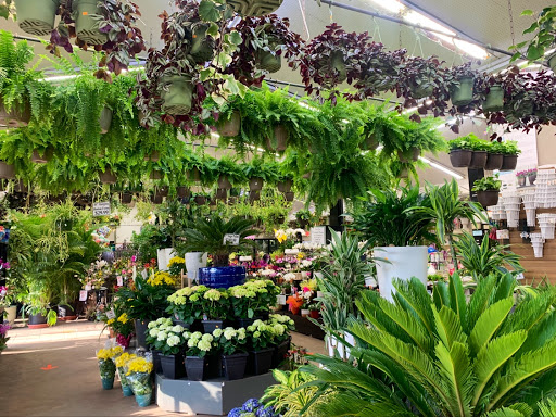 Florist «Metropolitan Plant & Flower», reviews and photos, 840 NJ-17, Paramus, NJ 07652, USA