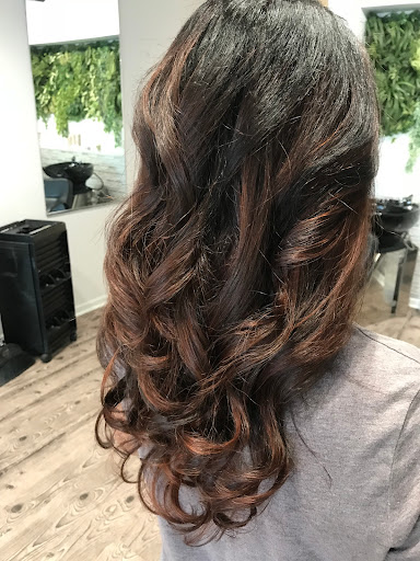 Beauty Salon «GS Hair Studio Beauty Salon and Spa», reviews and photos, 9016 N Milwaukee Ave, Niles, IL 60714, USA