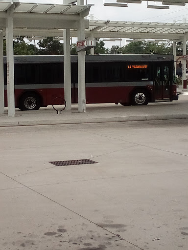 Bus tour agency Fayetteville