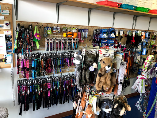 Pet Store «Pet Nation Llc», reviews and photos, 1898 Andorra St, Navarre, FL 32566, USA