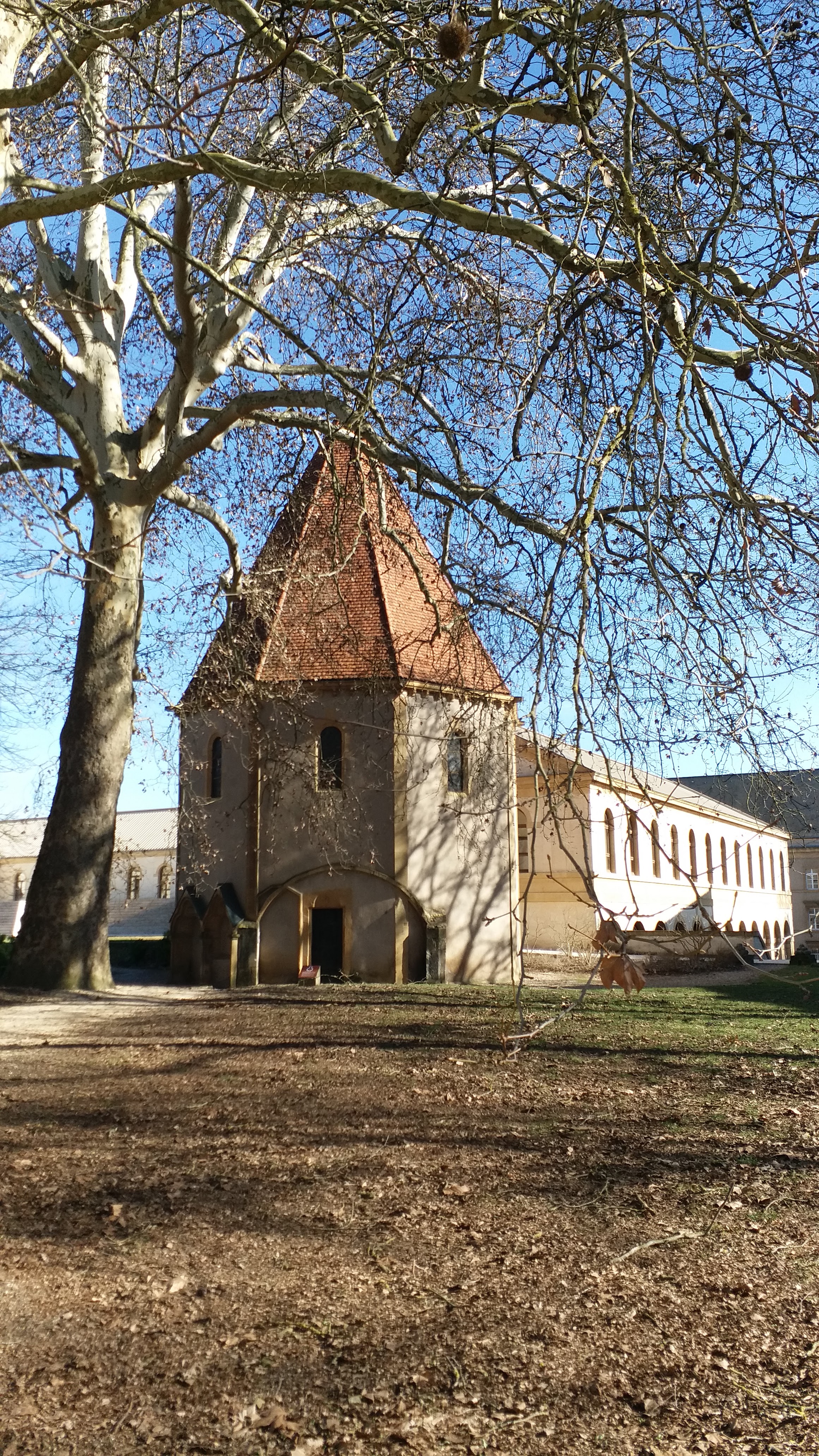 Photo n° 5 de l'avis de Francisco.a fait le 27/02/2019 à 21:38