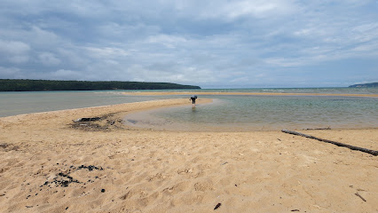 Sand Point Beach