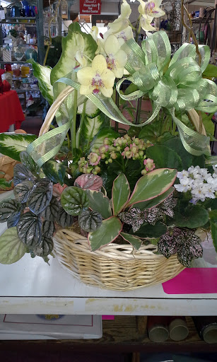 Florist «Kinsch Village Florist & Garden Center», reviews and photos, 301 Johnson St, Palatine, IL 60067, USA