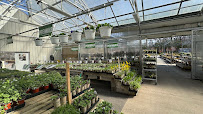 Garden Center at Adams - Photo 2 - Car repair in Wappingers Falls, NY, Poughkeepsie