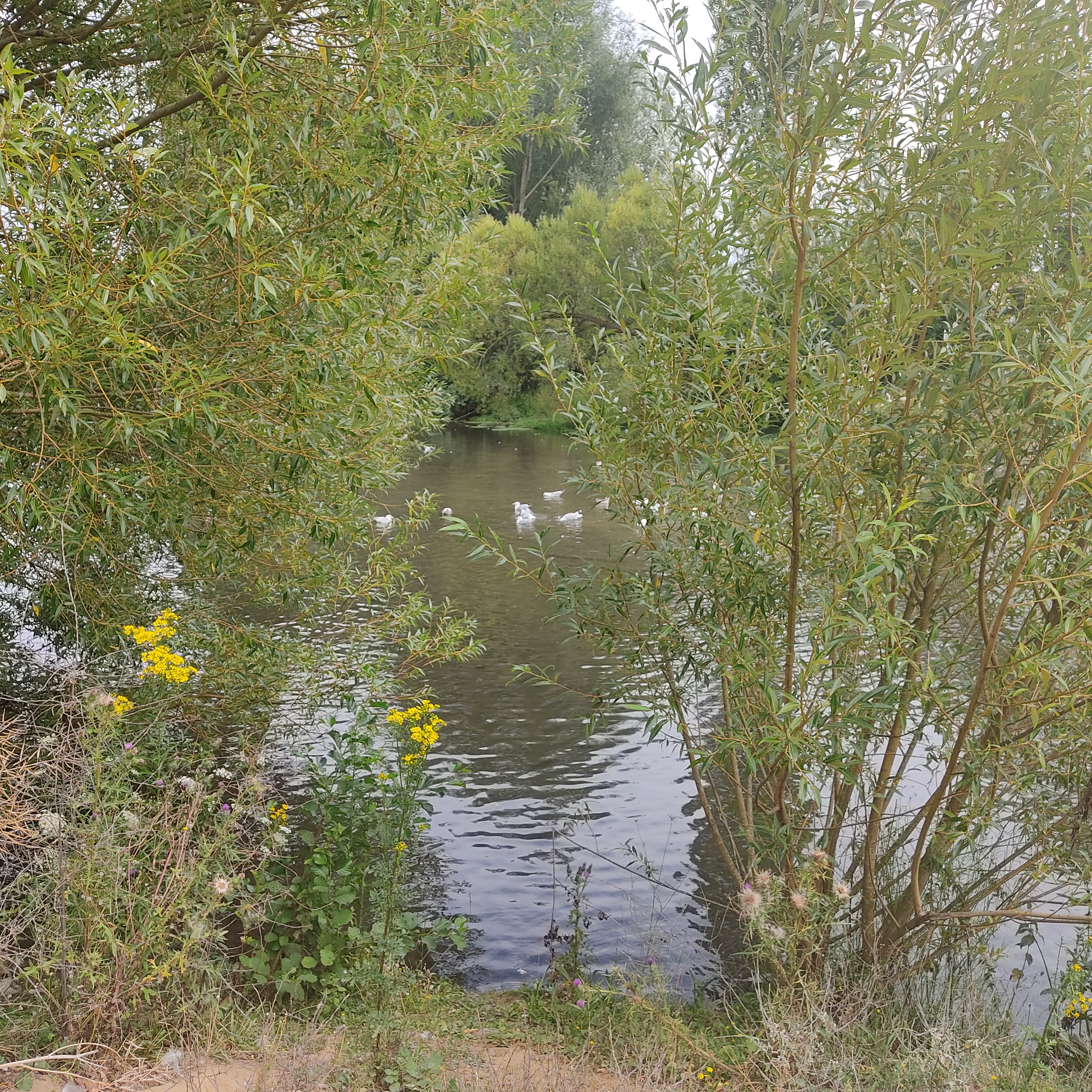 Photo n° 1 de l'avis de Café.a fait le 28/07/2022 à 17:38