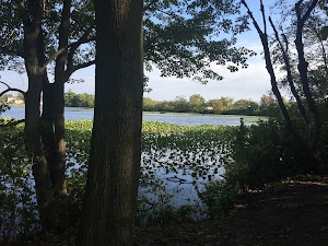 Bike Trail - photo 48