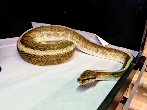 Pet Supply Store «Pet Bazaar», reviews and photos, 490 FL-436, Casselberry, FL 32707, USA