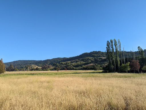 American Restaurant «Rancho Nicasio Bar and Restaurant», reviews and photos, 1 Old Rancheria Rd, Nicasio, CA 94946, USA